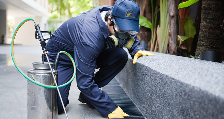 Wipeout Pest Control Services Pte Ltd