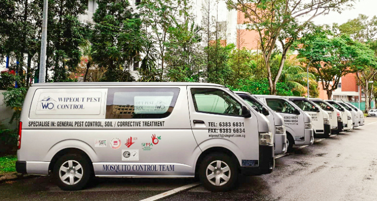 Wipeout Pest Control Services Pte Ltd