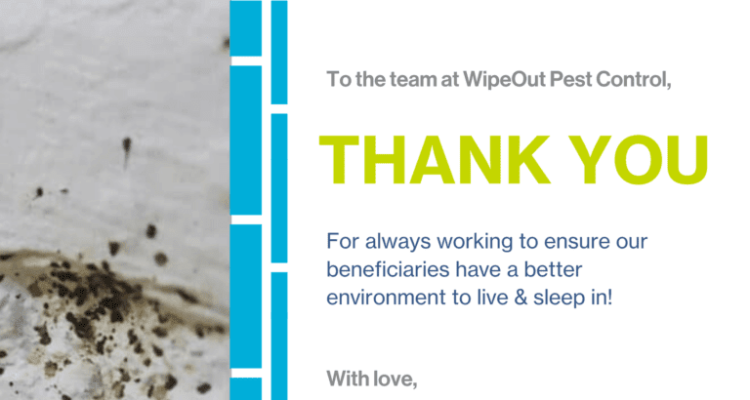 Wipeout Pest Control Services Pte Ltd