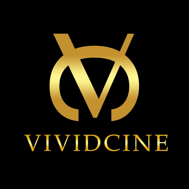 Vividcine Productions - Indian Wedding Videography & Photographer Singapore